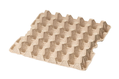 Ячейка для яиц