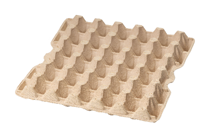 Ячейка для яиц